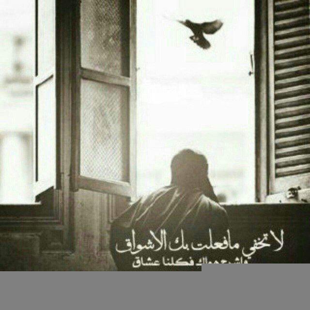 نصْ وقَصيده "