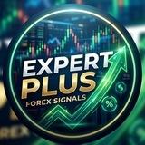🔳EXPERT PLUS 🔳