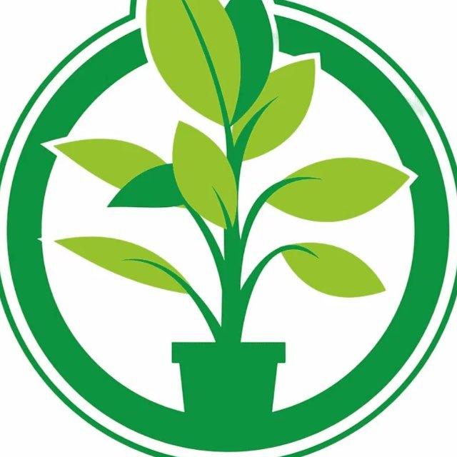 🌱 Куплю / продам растения | БИРЖА РАСТЕНИЙ