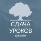 Сдача уроков