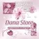ヾ DanaStore ಇ.ᯓ