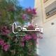 رَغْـــــدٌ ᥫ᭡.