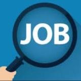 Various Temp Jobs🔥