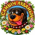 САНЫЧ ЛУДАНЫЧ