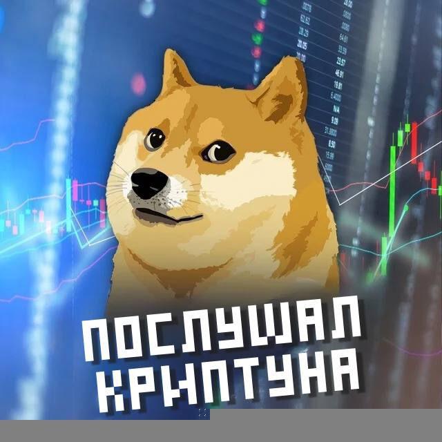 Послушал криптуна | Там где деньги водятся