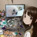 Театр Фісі^