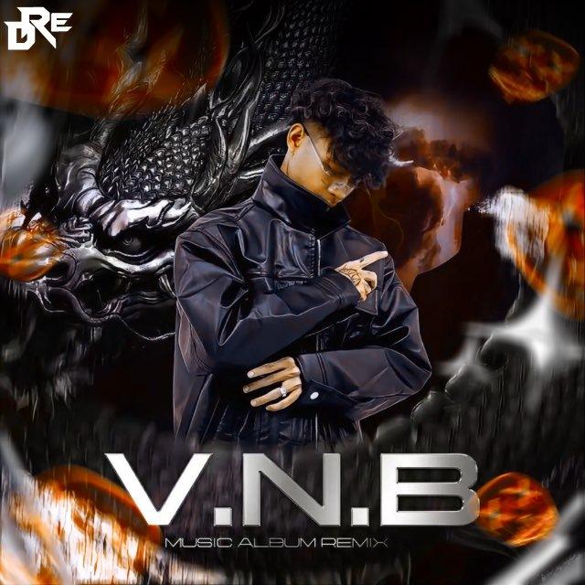 V.N.B RMX