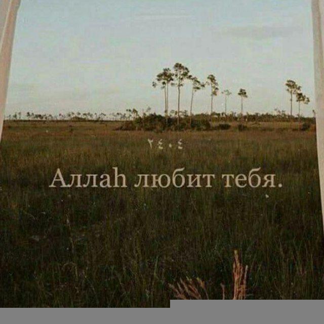 الله..🫀