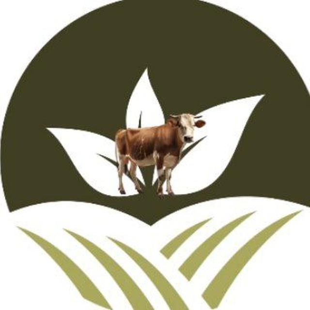 Farm Returns Business Ent.