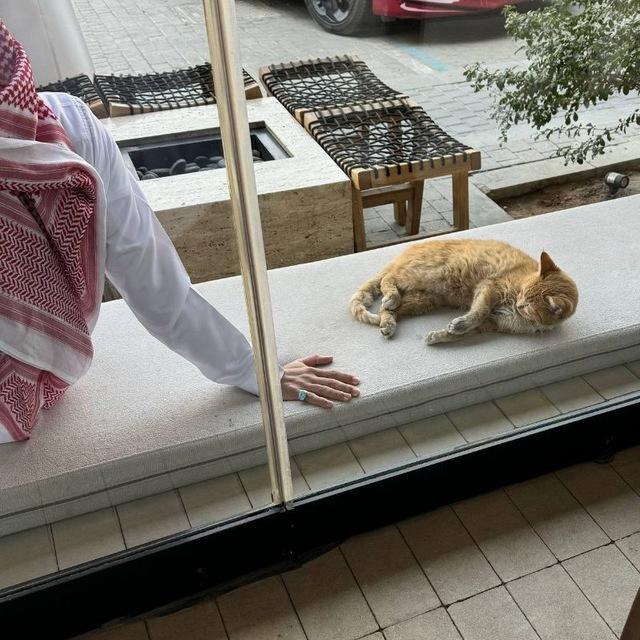 دُرُوبِي