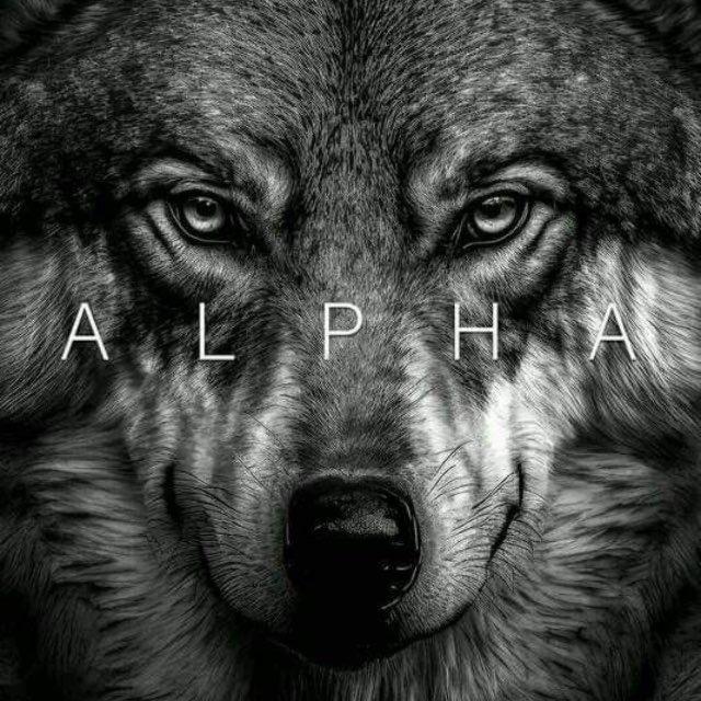 Fresh Alpha💎