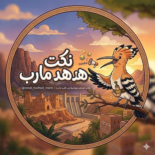 ♡ نكت هدهد مارب ♡𓅓