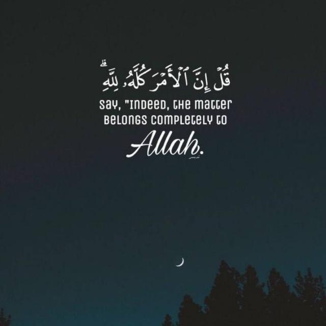 خَلُوة معَ أَلإنْسّ.!