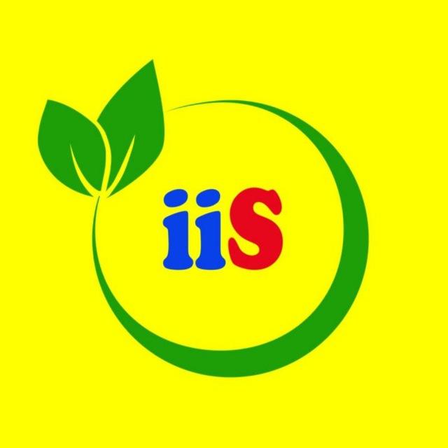Ideally International School