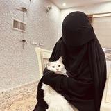 ملاذ التائهين 🤍🌿