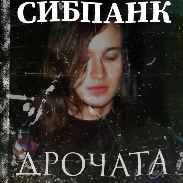 Сибпанк Дрочата