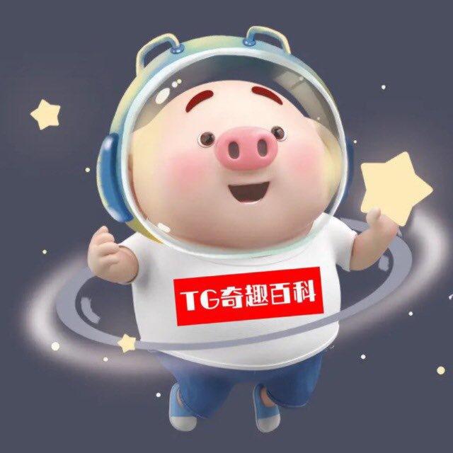 TG奇趣百科广告位