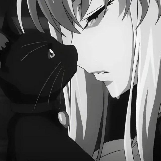 兔兔的小窝🐰