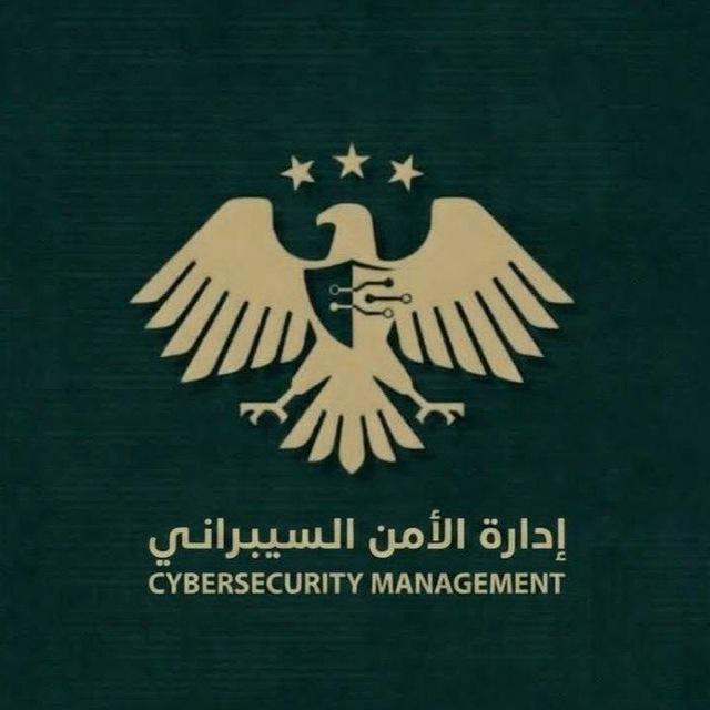 الأمن السيبراني