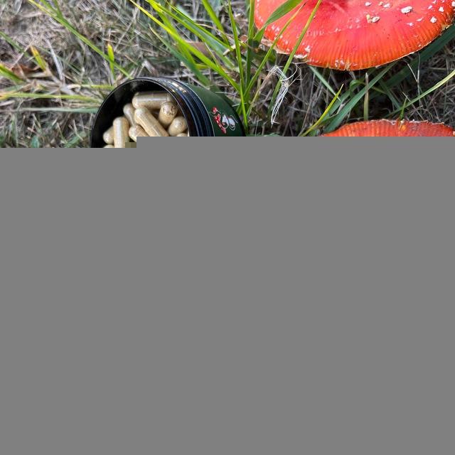 Amanita Muscaria Lietuva Chat