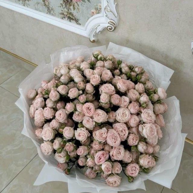 дневник знаний
