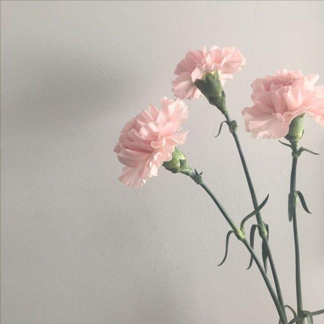 Слюбовyou