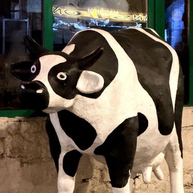KLIM🐮MILK