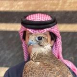 غاديّ .
