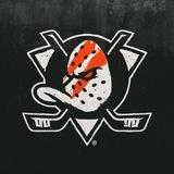 World of Anaheim Ducks