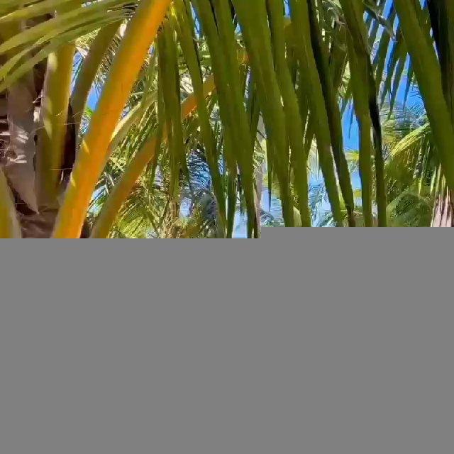 🌎Актуальные туры по всему миру ✈️ с любой страны 🏝🏝🏝