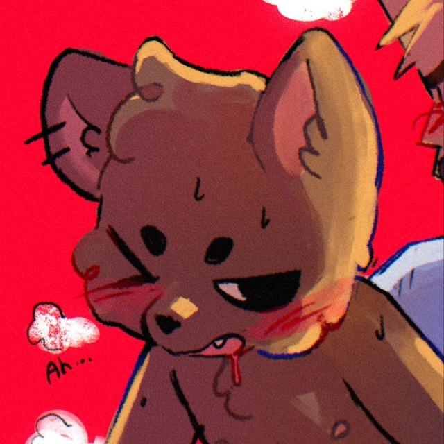 nocneko shenanigans