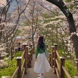 For Kpop🇰🇷