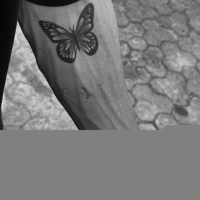 پیله " 🦋