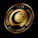 Anadolu Harekâtı