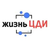 Жизнь ЦДИ