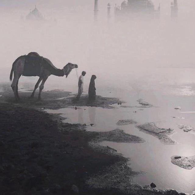 Архив