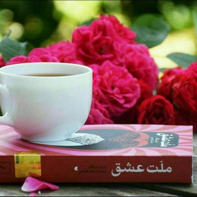ادبی ، شعر‌، داستان،بزرگان، ضرب المثل، رمان، شخصیتها ، نویسندگان ، متن کوتاه، خاطرات ، مناظرطبیعت ،