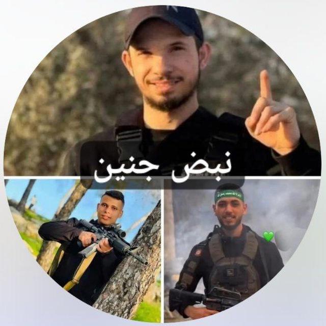 نبض جنين