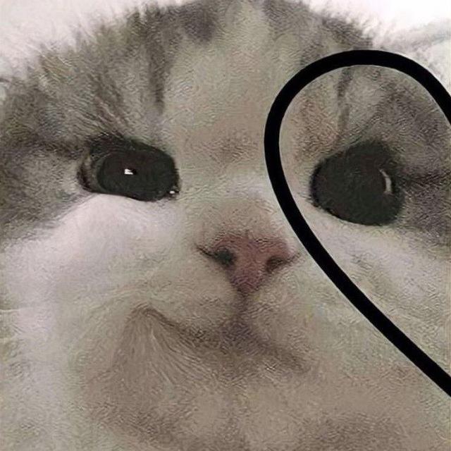 𝑺𝒐𝒏𝒈🎧ྀི♪⋆.