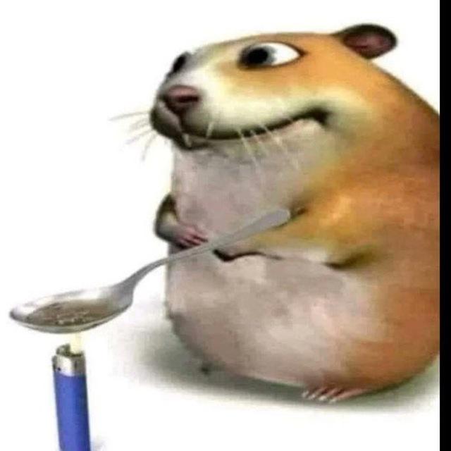 забыто CS