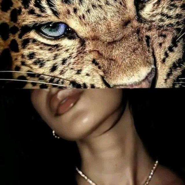 ¹¹:¹¹