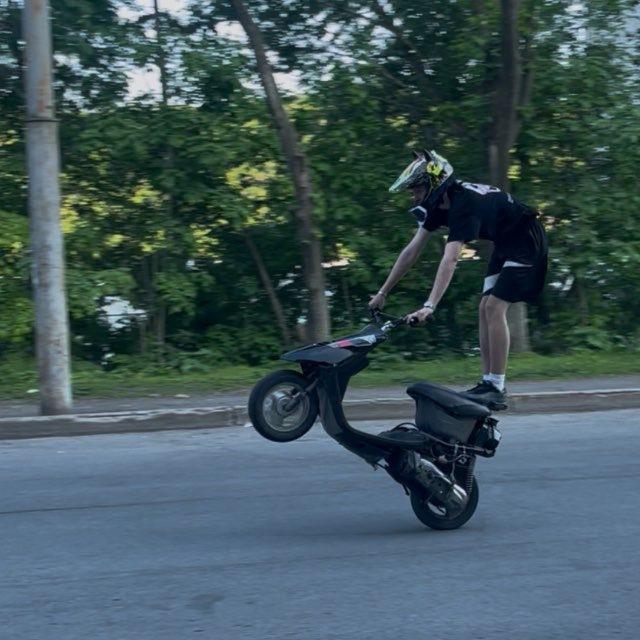 Law-disobedient🥷