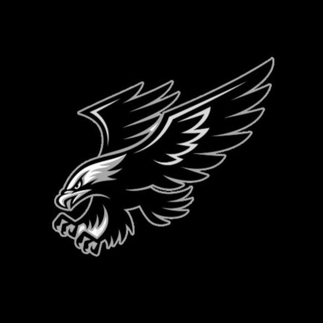 🦅SOKOLL CHANNEL