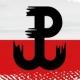 Polacy USA- walczacy o wolnosc !!! Grupa New York