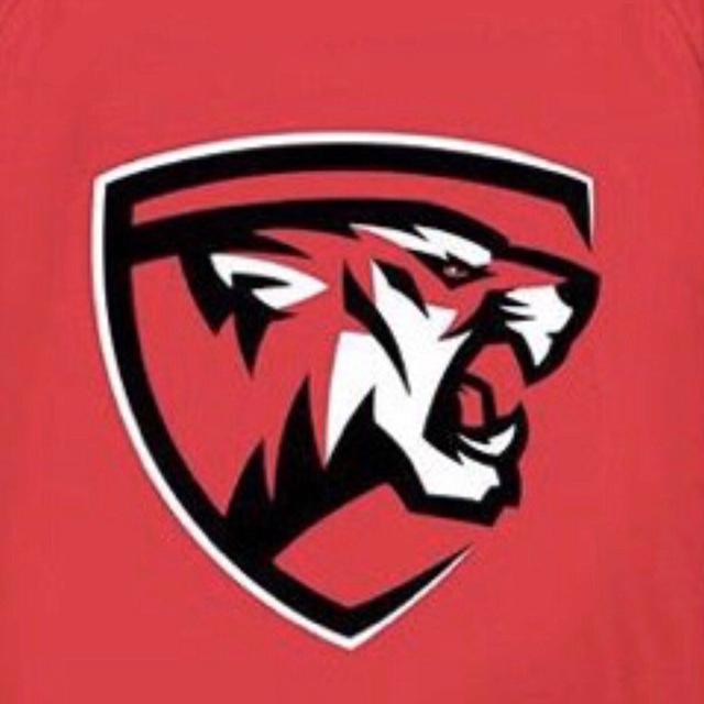 Oslo Tigers - INFO