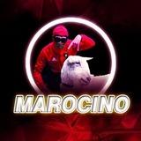 🥇 MAROCINO 🥇