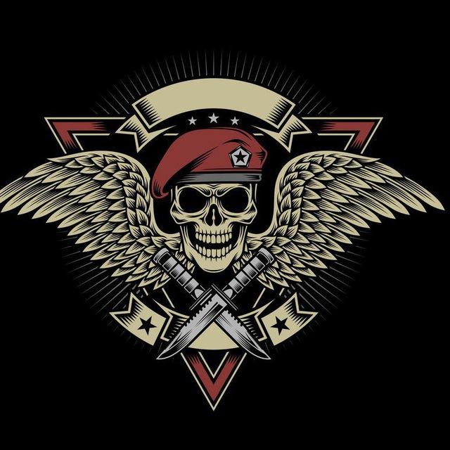 Special Patriotic Task Force S.P.T.S