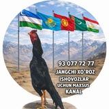 JANGCHI XÒROZ ISHQVOZLAR UCHUN