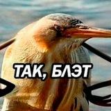 KulikBand-Os🍓