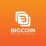 Bigcoin - Daily Build